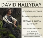 David HALLYDAY